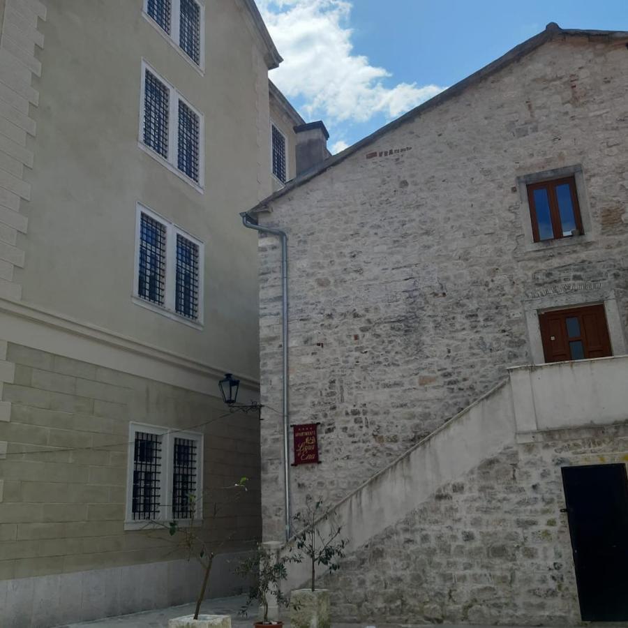 Lana & Ena Apartments 科托尔 外观 照片
